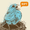 avatar for KakrSeal